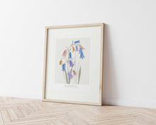 Load image into Gallery viewer, Bluebell Floral Art Print
