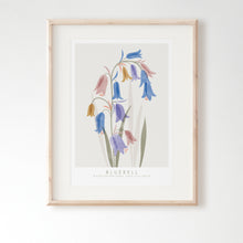 Load image into Gallery viewer, Bluebell Floral Art Print