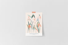 Load image into Gallery viewer, Set of 6 Floral Postcards