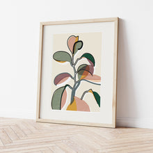 Load image into Gallery viewer, Baby Rubber Plant II Art Print - Rachel Mahon Print