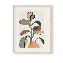 Load image into Gallery viewer, Baby Rubber Plant II Art Print - Rachel Mahon Print
