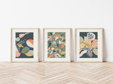 Load image into Gallery viewer, Set of 3 Botanical Art Prints