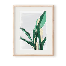 Load image into Gallery viewer, Mother in Law's Tongue Grey Art Print - Rachel Mahon Print