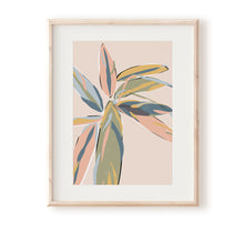 Load image into Gallery viewer, Stromanthe Pastel Art Print
