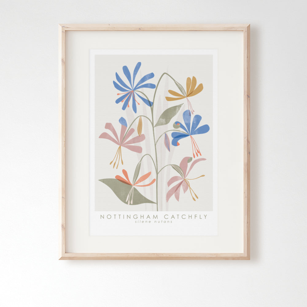 Nottingham Catchfly Botanical Art Print