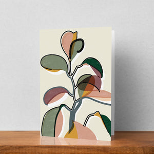 Baby Rubber Plant II Greeting Card