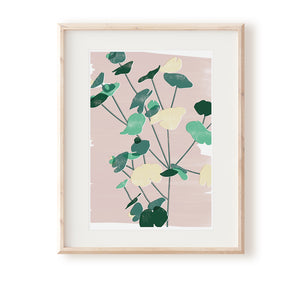 Euphorbia Art Print - Rachel Mahon Print