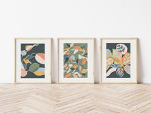 Load image into Gallery viewer, Set of 3 Botanical Art Prints
