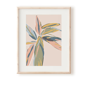 Stromanthe Pastel Art Print