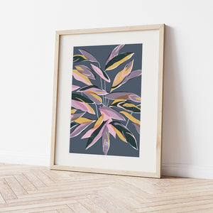 Stromanthe No.2 Art Print