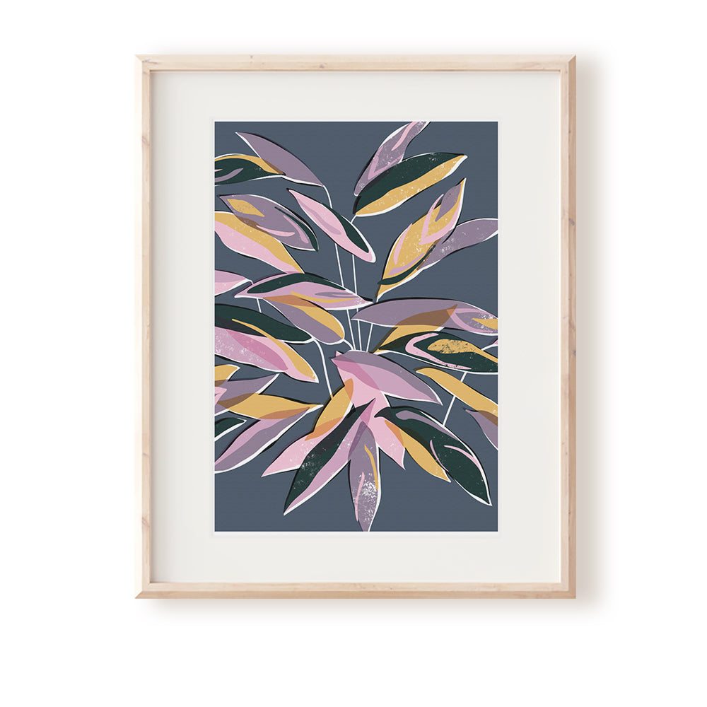 Stromanthe No.2 Art Print